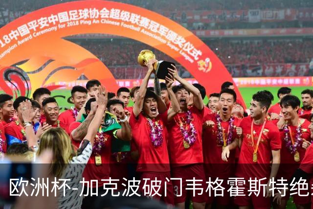 欧洲杯-加克波破门韦格霍斯特绝杀 荷兰2-1波兰